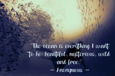 South Bali Font by DawnCreative.id — Script Handwritten Font — thumbnail 2