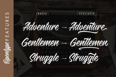 Southgate Font by Nyalaapi — Script Handwritten Font — thumbnail 3