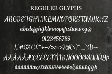 Southville Font by Sibelumpagi Studio — Script Handwritten Font — thumbnail 9