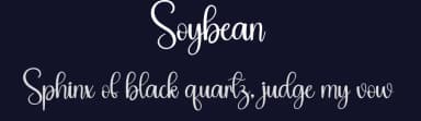 Soybean by Andi Moz — Script Handwritten Font — thumbnail 2