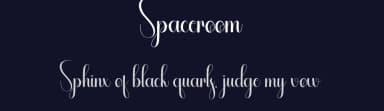 Spaceroom by Andi Moz — Script Handwritten Font — thumbnail 2