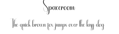 Spaceroom by Andi Moz — Script Handwritten Font — thumbnail 1