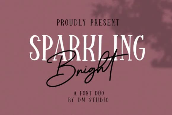 Sparkling Bright Duo Font by dmletter31 — Script Handwritten Font