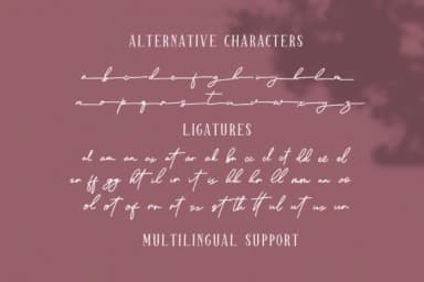 Sparkling Bright Duo Font by dmletter31 — Script Handwritten Font — thumbnail 7