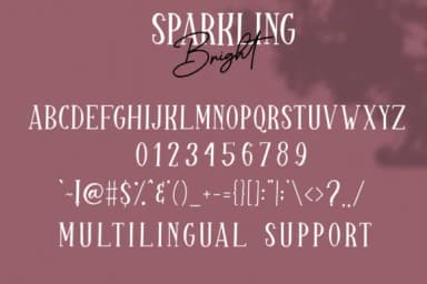 Sparkling Bright Duo Font by dmletter31 — Script Handwritten Font — thumbnail 9