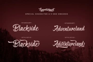 Sparrowhawk Script Font by Max.co Studio — Script Handwritten Font — thumbnail 4