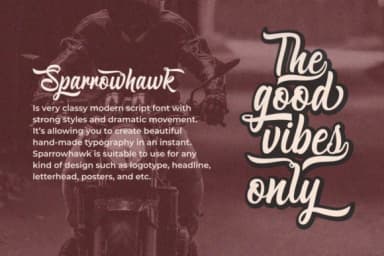 Sparrowhawk Script Font by Max.co Studio — Script Handwritten Font — thumbnail 5