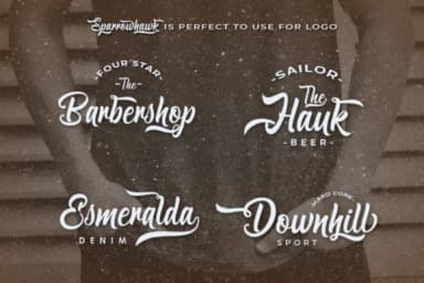 Sparrowhawk Script Font by Max.co Studio — Script Handwritten Font — thumbnail 9