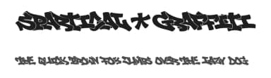 Spartical Graffiti by Måns Grebäck — Script Handwritten Font — thumbnail 1