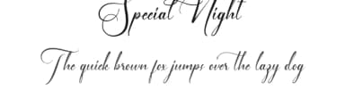 Special Night by Noah Type — Script Handwritten Font — thumbnail 1