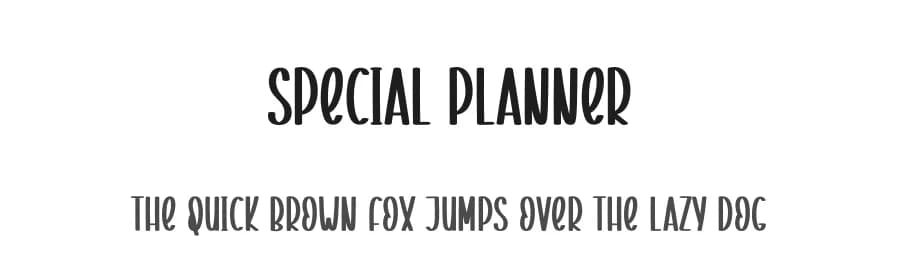 Special Planner by Scratchones — Script Handwritten Font