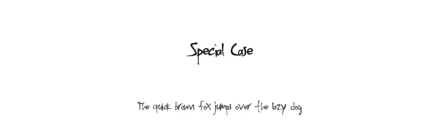 Special Case by Xerographer Fonts — Script Handwritten Font