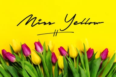 Specialist Font by Studio_Art — Script Handwritten Font — thumbnail 7