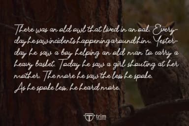 Specialist Font by Trim Studio by Trim Studio — Script Handwritten Font — thumbnail 5