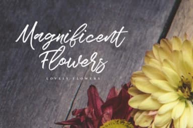 Spectrum Font by getstudio — Script Handwritten Font — thumbnail 2