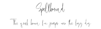 Spellbound by Stefani Letter — Script Handwritten Font — thumbnail 1