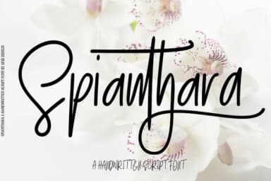 Spianthara Script Font by Arie Design — Script Handwritten Font — thumbnail 1