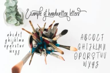 Spianthara Script Font by Arie Design — Script Handwritten Font — thumbnail 3