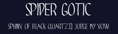 Spider Gotic by Grafito Design — Script Handwritten Font — thumbnail 2