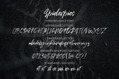Spiderpies Font by luckytype.font — Script Handwritten Font — thumbnail 9