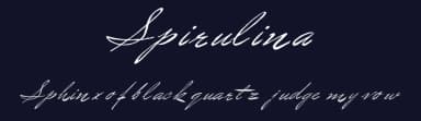Spirulina by Intellecta Design — Script Handwritten Font — thumbnail 2