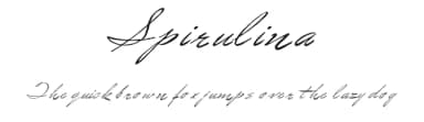 Spirulina by Intellecta Design — Script Handwritten Font — thumbnail 1