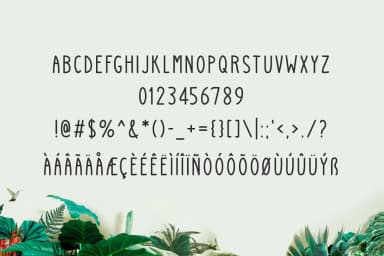 Splendid Booker Font by Contour Fonts — Script Handwritten Font — thumbnail 5