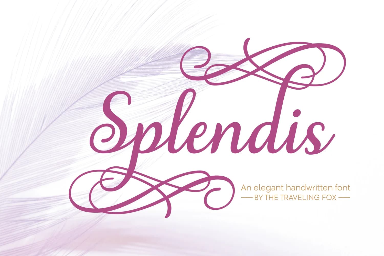 Splendis Font by The Traveling Fox — Script Handwritten Font