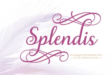 Splendis Font by The Traveling Fox — Script Handwritten Font — thumbnail 1