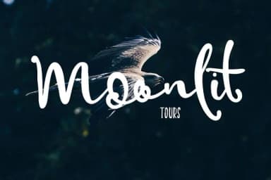 Spoonfull Font by Creativeqube Design — Script Handwritten Font — thumbnail 4