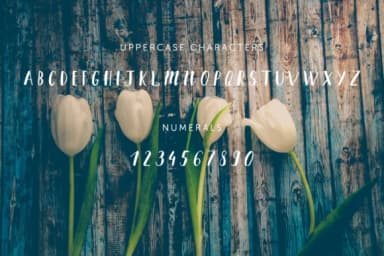 Spring Mood Font by Awesome Templates — Script Handwritten Font — thumbnail 3