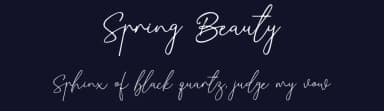 Spring Beauty by Vz Type — Script Handwritten Font — thumbnail 2