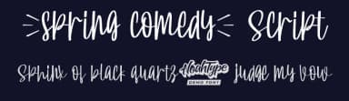 Spring Comedy Script by Noah Type — Script Handwritten Font — thumbnail 2