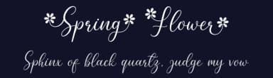 Spring Flower by AV Type — Script Handwritten Font — thumbnail 2