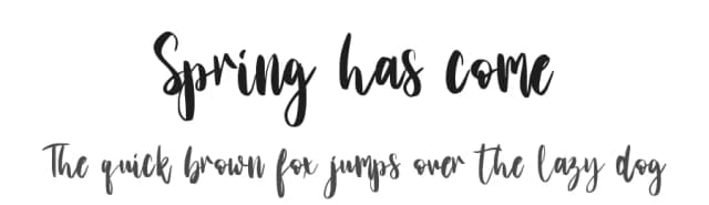 Spring has come by Stefani Letter — Script Handwritten Font