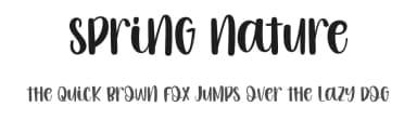 Spring Nature by PiPi Creative STUDIO — Script Handwritten Font — thumbnail 1