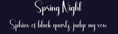 Spring Night by Andi Moz — Script Handwritten Font — thumbnail 2