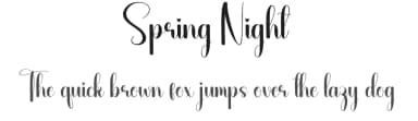 Spring Night by Andi Moz — Script Handwritten Font — thumbnail 1