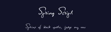 Spring Script by Roland Huse Design — Script Handwritten Font — thumbnail 2