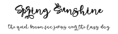 Spring Sunshine by Letterara — Script Handwritten Font — thumbnail 1