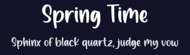 Spring Time by Nirmala Creative — Script Handwritten Font — thumbnail 2