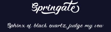 Springate by PutraCetol Studio — Script Handwritten Font — thumbnail 2
