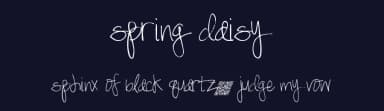 Spring Daisy by Xerographer Fonts — Script Handwritten Font — thumbnail 2