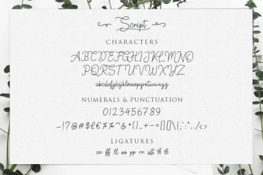 Springfield Font by Weape Design — Script Handwritten Font — thumbnail 4