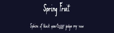 Spring Fruit by Xerographer Fonts — Script Handwritten Font — thumbnail 2