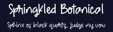 Springkled Botanical by ONG Type — Script Handwritten Font — thumbnail 2