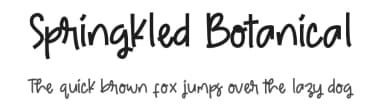 Springkled Botanical by ONG Type — Script Handwritten Font — thumbnail 1