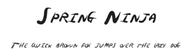 Spring Ninja by Xerographer Fonts — Script Handwritten Font — thumbnail 1