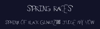 Spring Races by Xerographer Fonts — Script Handwritten Font — thumbnail 2