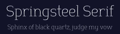 Springsteel Serif by Paragraph — Serif Font — thumbnail 2